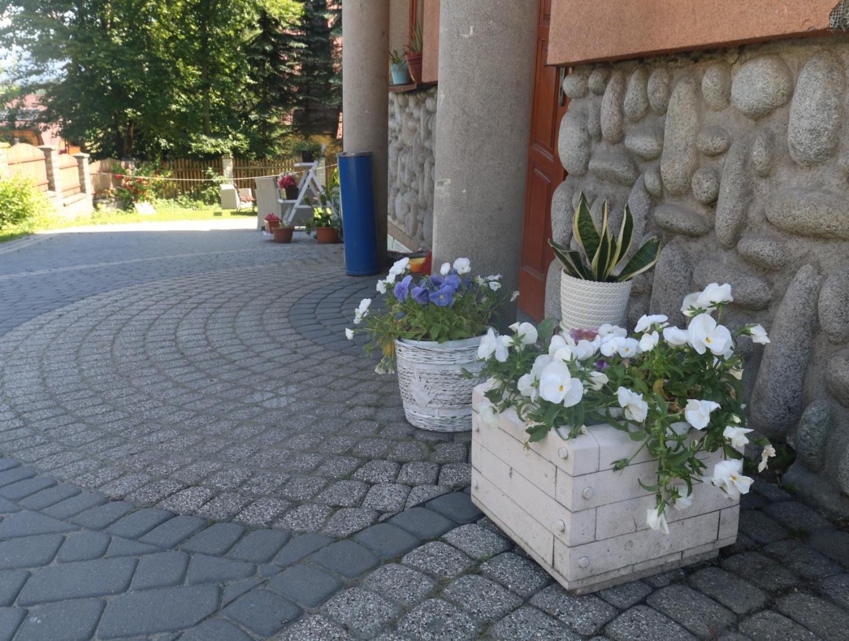 Smyrecek-Centrum Bukowiny Bukowina Tatrzańska Buitenkant foto