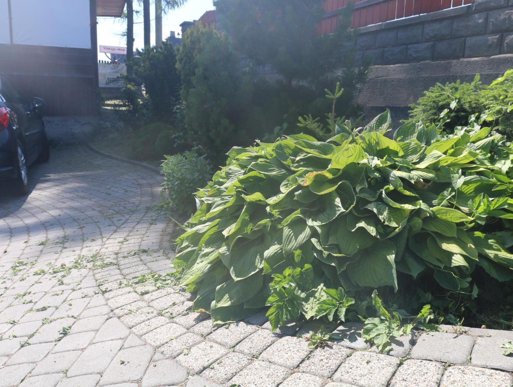 Smyrecek-Centrum Bukowiny Bukowina Tatrzańska Buitenkant foto