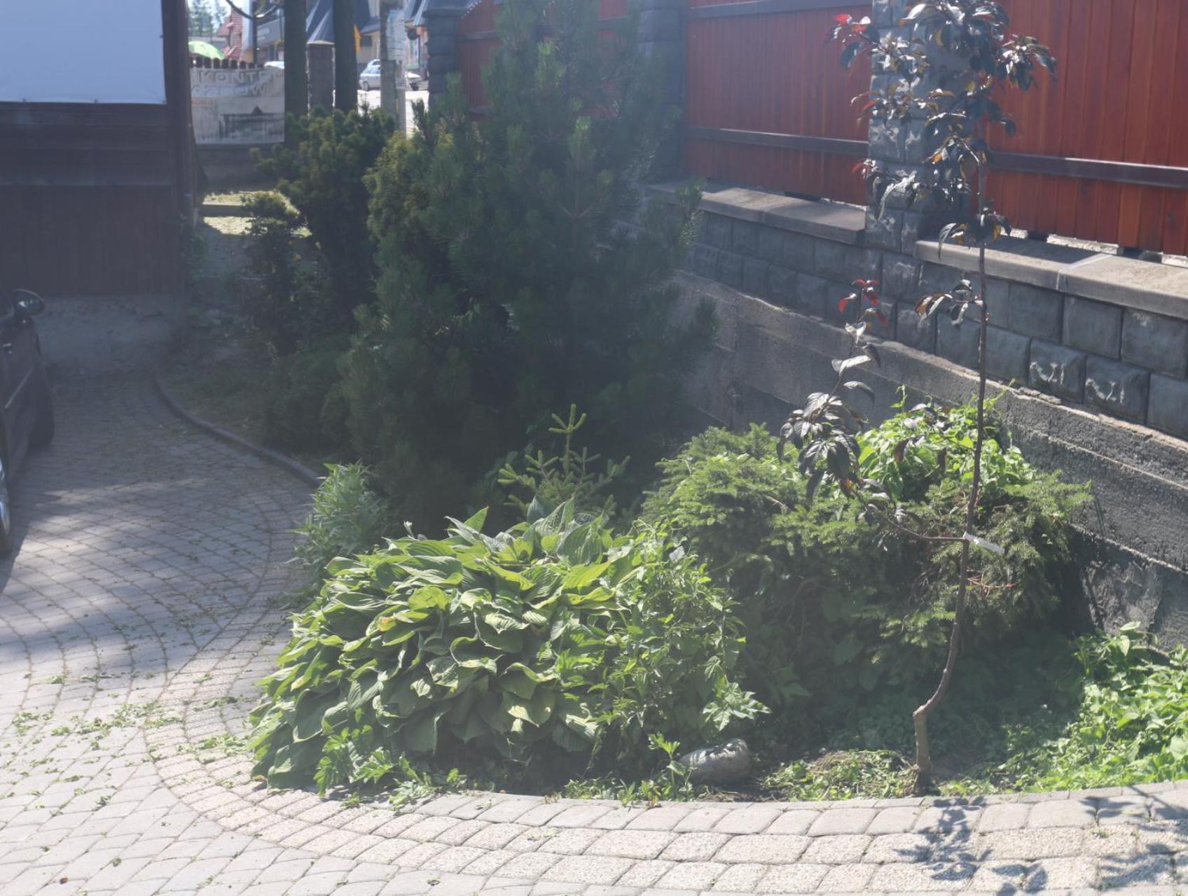Smyrecek-Centrum Bukowiny Bukowina Tatrzańska Buitenkant foto