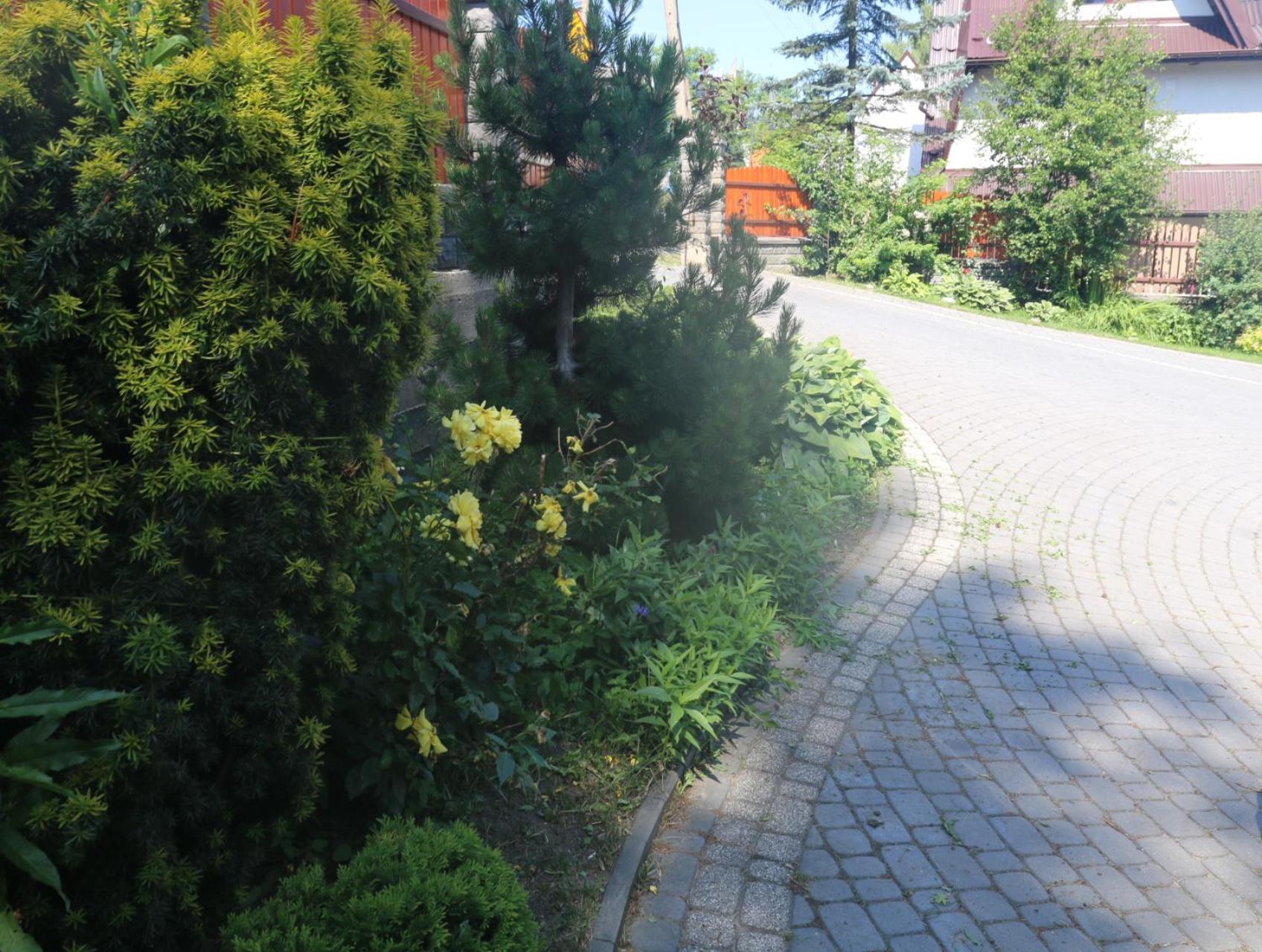 Smyrecek-Centrum Bukowiny Bukowina Tatrzańska Buitenkant foto